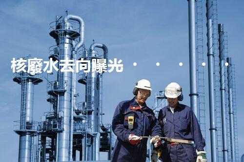 核廢水去向曝光！真相何在？
